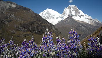 Paquetes Turísticos Huaraz