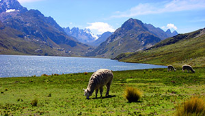 Paquetes Turísticos Huaraz